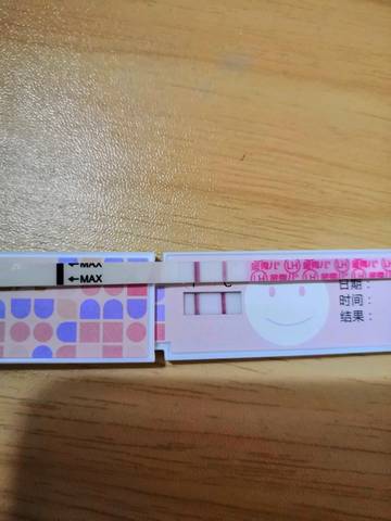 journal_insert_pic_1160838363