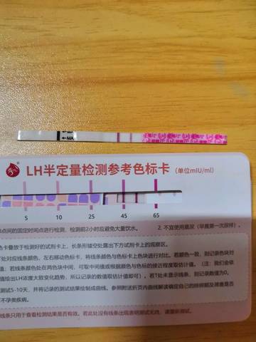 journal_insert_pic_1160838391