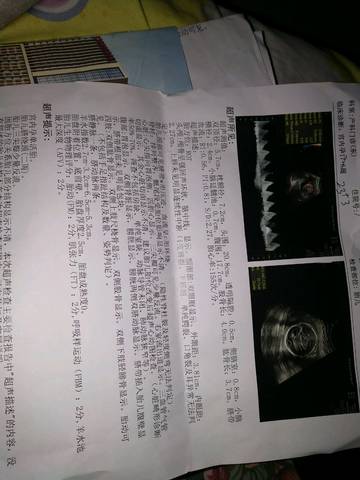 journal_insert_pic_1161508048