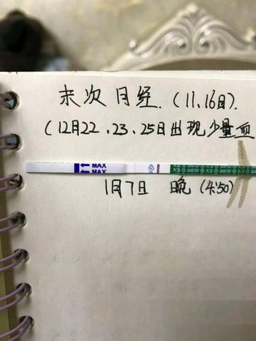 journal_insert_pic_1161701859