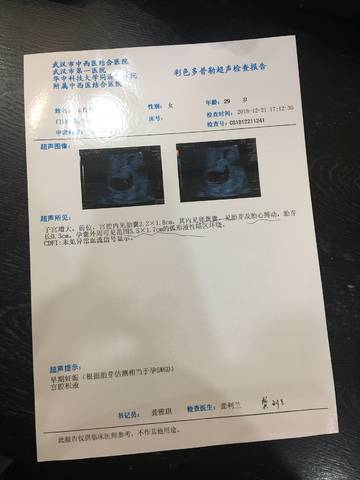 journal_insert_pic_1161487649