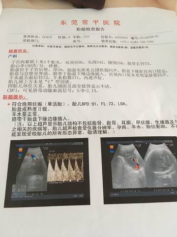 journal_insert_pic_1162033511