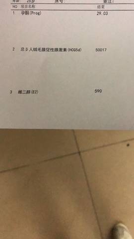 journal_insert_pic_1162264552