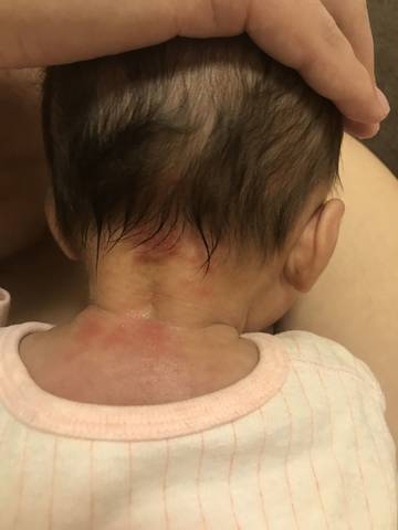 journal_insert_pic_1162756331