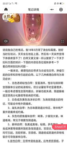 journal_insert_pic_1163369785