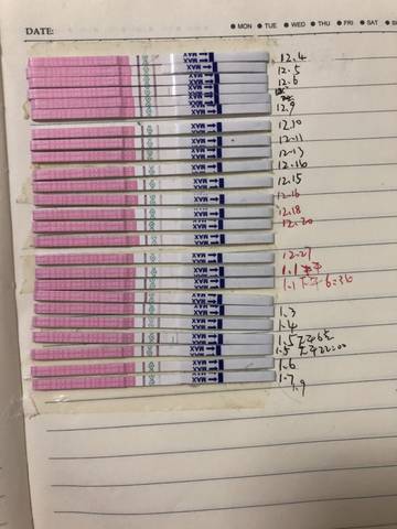 journal_insert_pic_1163343978