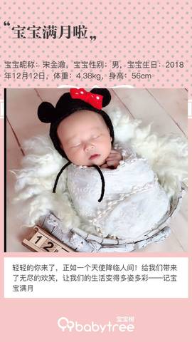 journal_insert_pic_1162959374