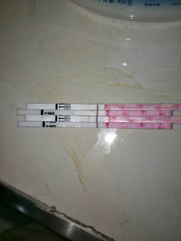 journal_insert_pic_1163423689