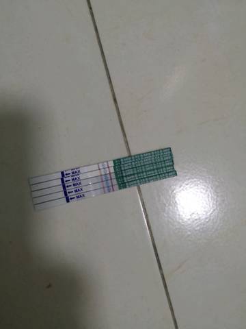 journal_insert_pic_1164417310