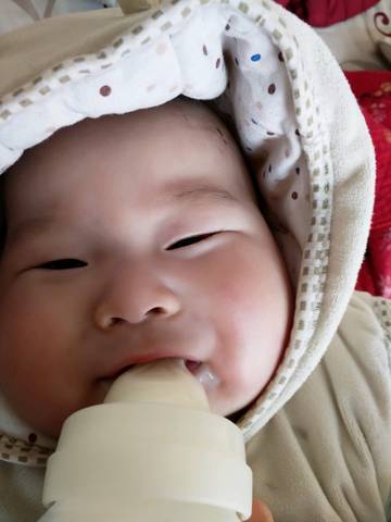 journal_insert_pic_1165169879
