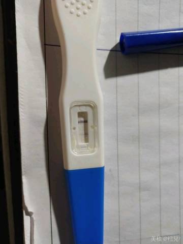 journal_insert_pic_1166306763