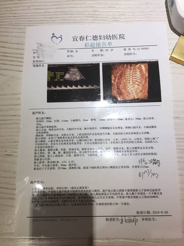 journal_insert_pic_1166662353
