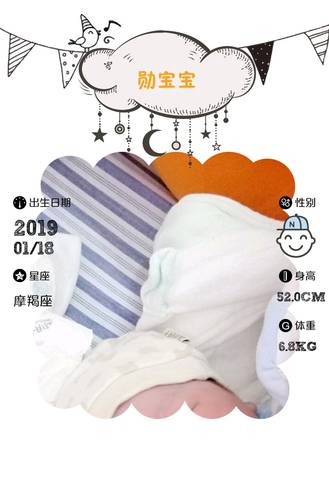 journal_insert_pic_1167169831