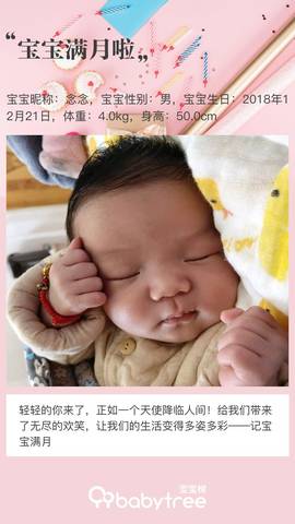 journal_insert_pic_1167016577