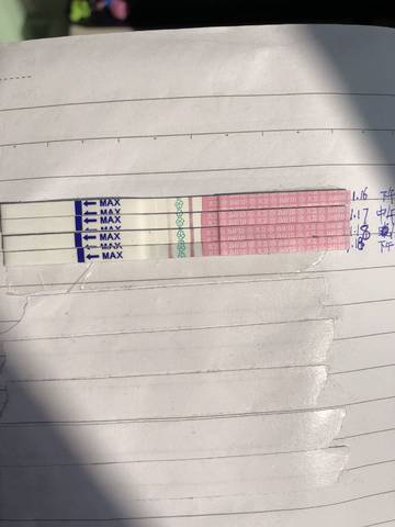 journal_insert_pic_1167071371