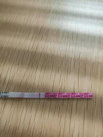 journal_insert_pic_1167117326