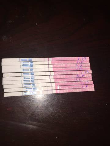 journal_insert_pic_1167461096