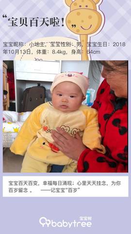 journal_insert_pic_1167940471