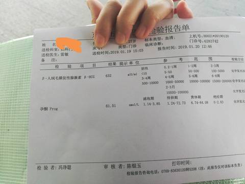 journal_insert_pic_1168120679