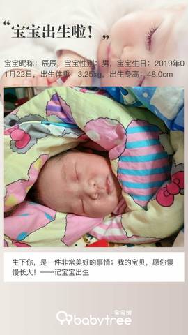 journal_insert_pic_1168947394