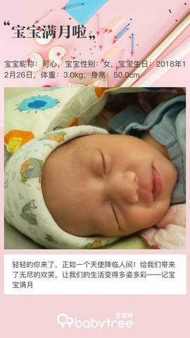 journal_insert_pic_1168979404