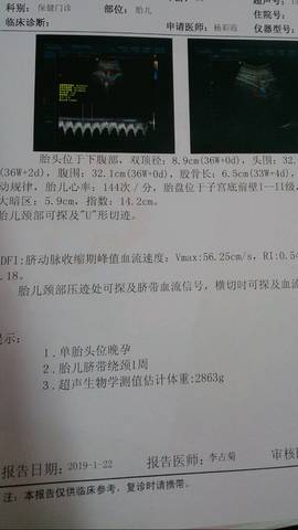 journal_insert_pic_1168917807