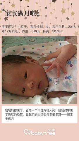 journal_insert_pic_1170009418