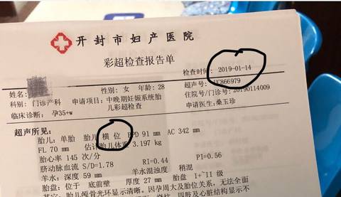 journal_insert_pic_1170444212