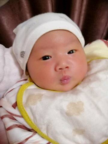 journal_insert_pic_1171113048