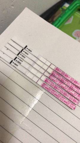 journal_insert_pic_1172086442