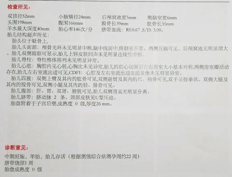 journal_insert_pic_1173008720