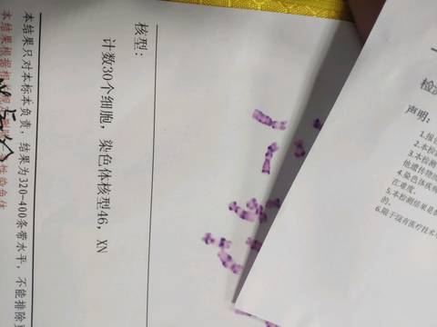 journal_insert_pic_1173325080