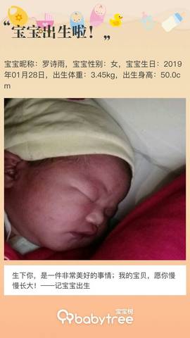 journal_insert_pic_1173513984