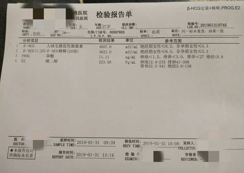 journal_insert_pic_1173805963