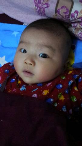 journal_insert_pic_1173790465