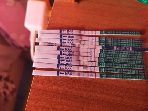 journal_insert_pic_1174764645