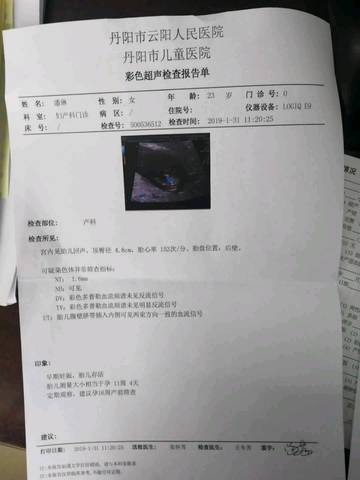 journal_insert_pic_1175508601