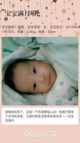 journal_insert_pic_1175297401
