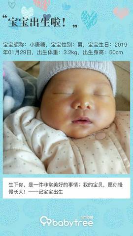 journal_insert_pic_1175643819