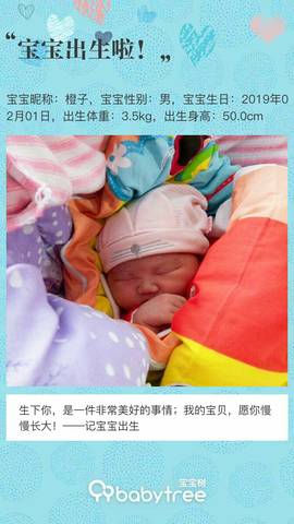 journal_insert_pic_1176094644