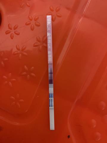 journal_insert_pic_1176135506