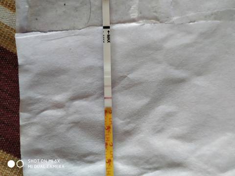 journal_insert_pic_1176363152