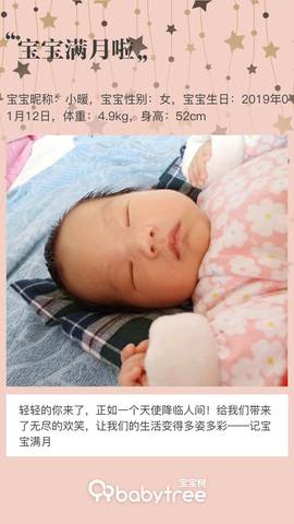 journal_insert_pic_1177968695