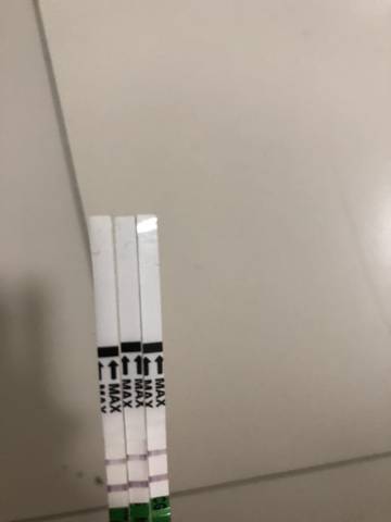 journal_insert_pic_1179706846