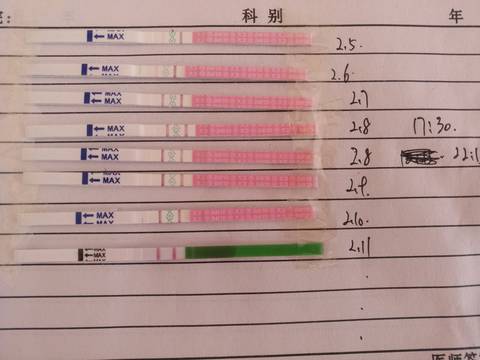 journal_insert_pic_1179474707