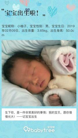 journal_insert_pic_1181238609