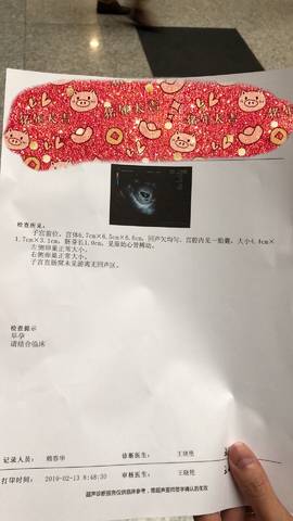 journal_insert_pic_1180822127
