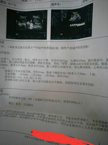 journal_insert_pic_1181723960