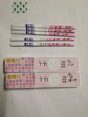 journal_insert_pic_1181796270