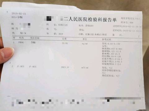 journal_insert_pic_1182348587
